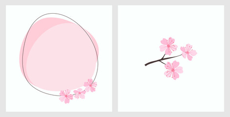 Cherry blossom Sakura flower icon and Sakura circle sign on white backgrounds vector.