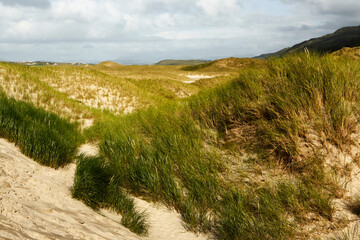 Fototapeta na wymiar View of beach with sandy dunes in the Northern Ireland