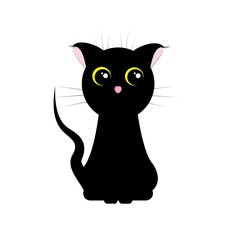 black cat with big black eyes, on a white background