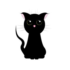 black cat with big black eyes, on a white background