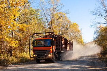 Orange logging truck on forest road in autumn