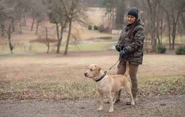 Labrador retriever dog in the nature with owner