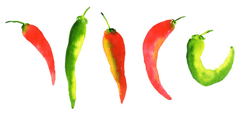 Chili pepper collection. Watercolor set of spicy paprika for print, banner, fabric illustration