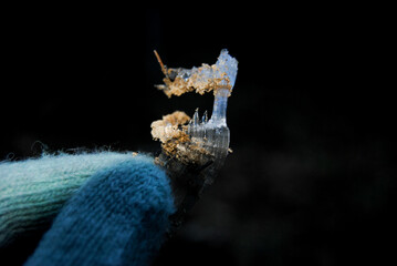 The amazing structure of the ice