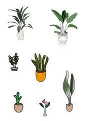 set of plant