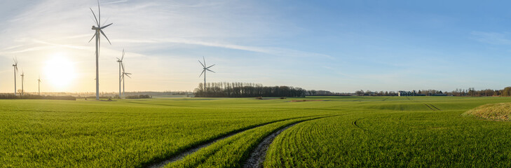 Landscape with wind turbines, green fields and an agricultural silo and a settlement in the...