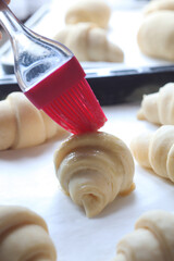 A fluffy leavened uncooked of traditional French croissants dough roll in a baking tray before cook in oven with paper sheet while doing an egg wash with brush. 