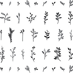 Set of branches. Isolated floral decorative elements painted in black ink. Grass silhouette collection