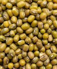Mung beans as a background.