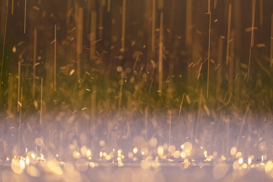 Rain, light and Bokeh balls