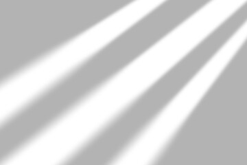 Window Sunlight Shadow Effect Overlay 