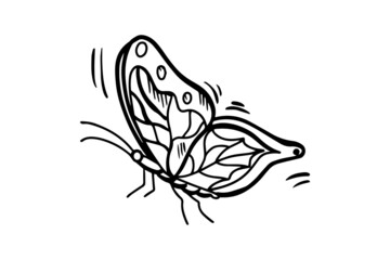 the butterfly is drawn with a black outline. Vector graphics, sketch. Vector illustration