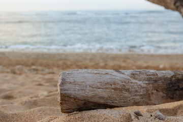 Fototapeta na wymiar wood on the beach, blurred background