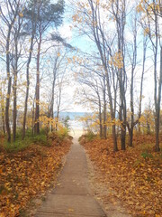 Road to Jurmala beach