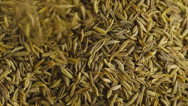 Close up shot caraway seeds. 