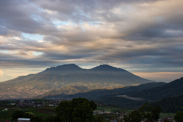 beautiful view of farmland in a tropical village