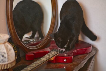 Chat noir avec une guitare électrique de rockstar