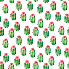 Seamless pattern with green juicy oval-shaped cacti and delicate pink flowers. Bright desert-themed illustration for Botanical backgrounds, textiles, Wallpaper, packaging, bedding, and stationery.