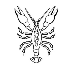 Crayfish pink, snack for beer   illustration