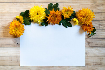 Chrysantemum autumn bouquet copy space blanc paper colored colorful mock up