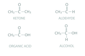 Categories of organic molecules based on functional groups.