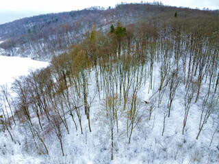 Las zimą widok z góry z drona