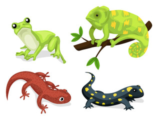 Reptiles and amphibians. Cartoon frog, chameleon, crocodile, lizard and turtle, wildlife animals. Cartoon exotic amphibian and reptiles