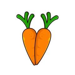 Fresh carrot vector illustration