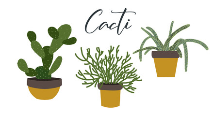Boho plants in pots. Isolated objects of plants. clip-art