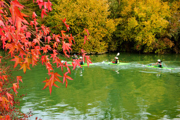 People (unrecognizable) kayaking in autumn. Marne river in Ile-de-France, France. Selective focus on red leaves maple tree branch at foreground. Travel, water sports, healthy lifestyle concepts. - obrazy, fototapety, plakaty