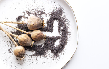 Closeup poppy seeds and poppy heads, earthenware plate, and white table background. Feminine styled...