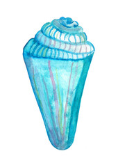 Watercolor hand drawn sea shell