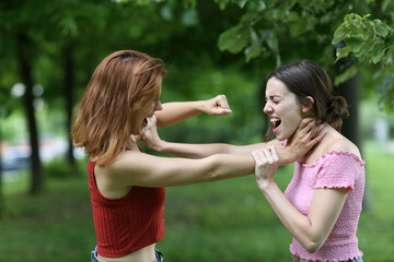 Two furious women fighting in a park