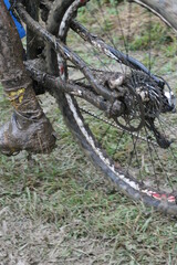 VTT, cyclisme, sport et compétition.