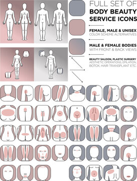 Cartoon male and female body parts concept with front and back view face shoulder torso arm leg buttocks foot knee chest abdomen illustration set for medical and beauty