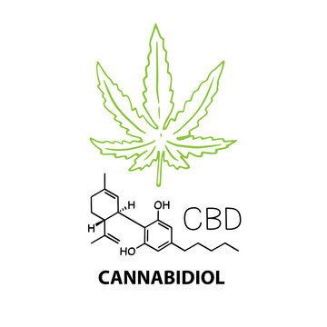 Cannabidiol CBD banner concept with chemical formula and hemp cannabis leaf. Vector illustration banner in outline style isolated on white background