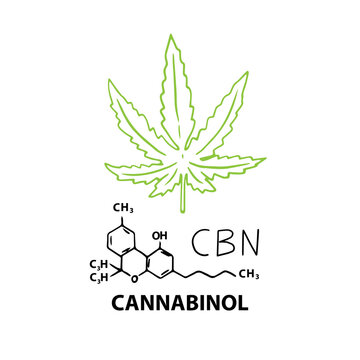 Cannabinol CBN banner concept with chemical formula and hemp cannabis leaf. Vector illustration banner in outline style isolated on white background