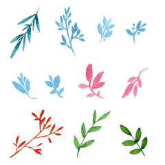 Fototapeta na wymiar set of watercolor elements - decorative, colorful branches, leaves and flowers on a white background.