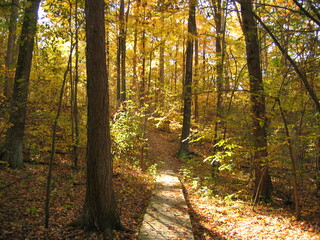 Obraz premium Autumn Bridge