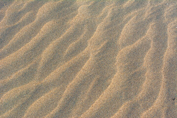 Top view of sandy beach. Background with copy space and visible sand texture.