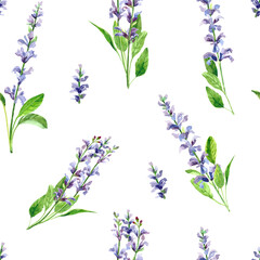 Watercolor hand painted salvia branch and flowers. Watercolor hand drawn seamless pattern, wallpaper, wrapping paper, aromatherapy, essential oils