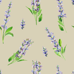 Watercolor hand painted salvia branch and flowers. Watercolor hand drawn seamless pattern, wallpaper, wrapping paper, aromatherapy, essential oils