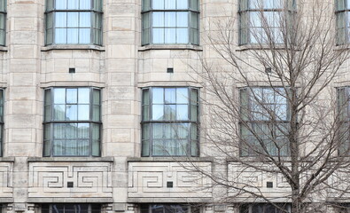 Amsterdam Singel Canal Building Facade Close Up with Sculpted Details and Winter Tree, Netherlands