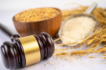 Judge gavel hammer with good grain rice from agriculture farm. Law and justice court concept.