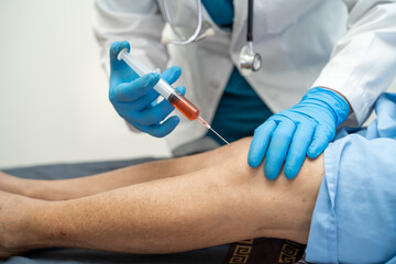 Asian doctor inject Hyaluronic acid platelet rich plasma into the knee of senior woman to walk without pain.