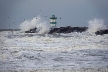 Fototapeta na wymiar Netherlands. Wind force 10 in Scheveningen