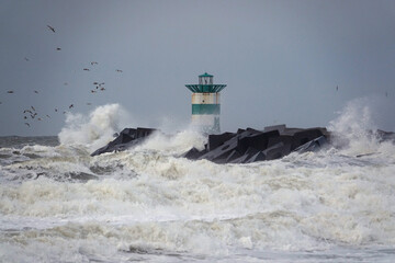 Netherlands. Wind force 10 in Scheveningen