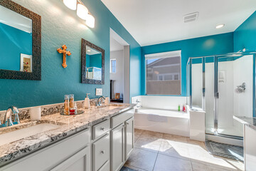 Interior bathroom 