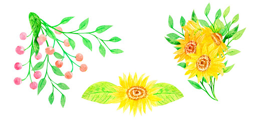 Summer watercolor set illustration of sunflowers hand drawn