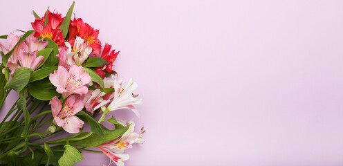 Beautiful flowers on pale purple background, flat lay. Space for text